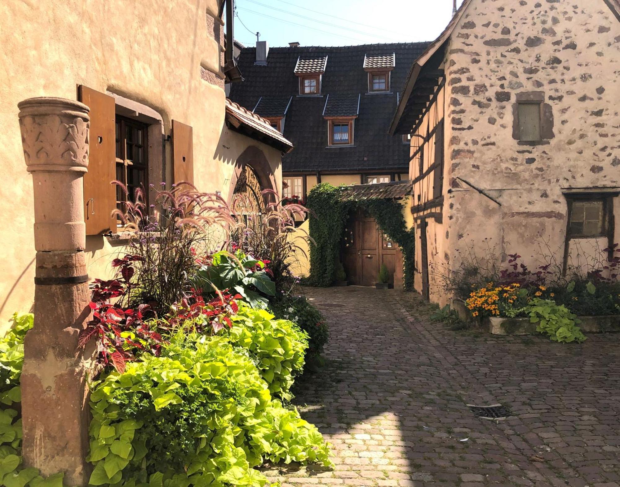 Les Gites Coeur De Vigne Riquewihr Zewnętrze zdjęcie